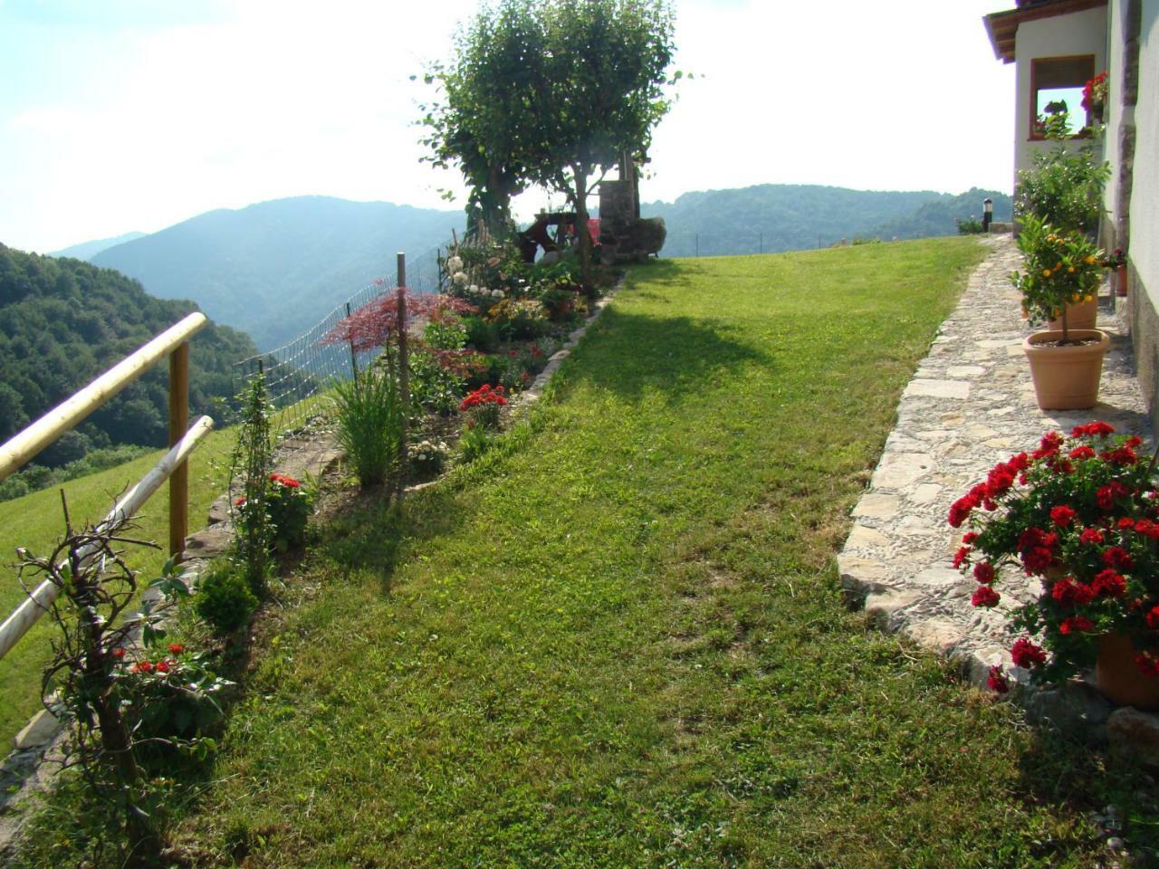 Apartmaji Nena Rocinj Exteriör bild